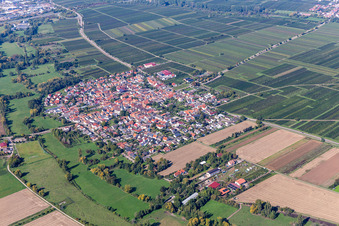 Vue d'oiseau de Venningen dans le département Rhénanie-Palatinat, Allemagne