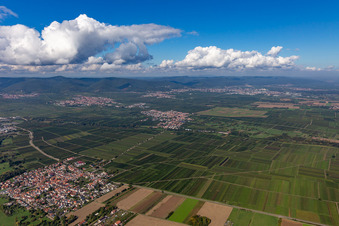 Vue aérienne de Kirrweiler dans le département Rhénanie-Palatinat, Allemagne