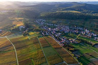 Vue d'oiseau de Quartier Pleisweiler in Pleisweiler-Oberhofen dans le département Rhénanie-Palatinat, Allemagne