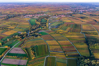 Image drone de Quartier Heuchelheim in Heuchelheim-Klingen dans le département Rhénanie-Palatinat, Allemagne