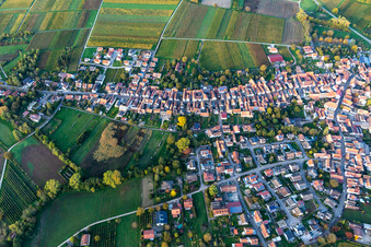 Göcklingen dans le département Rhénanie-Palatinat, Allemagne depuis l'avion