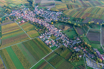 Vue d'oiseau de Göcklingen dans le département Rhénanie-Palatinat, Allemagne