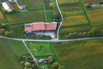 Photographie aérienne de Quartier Nußdorf in Landau in der Pfalz dans le département Rhénanie-Palatinat, Allemagne