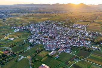 Vue oblique de Quartier Nußdorf in Landau in der Pfalz dans le département Rhénanie-Palatinat, Allemagne