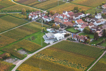 Vue aérienne de Magasin de vins Weingut Sauer à Nußdorf à le quartier Nußdorf in Landau in der Pfalz dans le département Rhénanie-Palatinat, Allemagne
