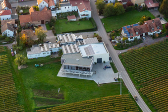 Photographie aérienne de Magasin de vins Weingut Sauer à Nußdorf à le quartier Nußdorf in Landau in der Pfalz dans le département Rhénanie-Palatinat, Allemagne