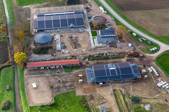 Vue aérienne de Erlenhof à Neupotz dans le département Rhénanie-Palatinat, Allemagne