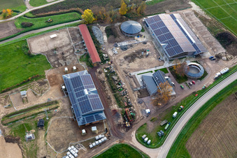 Photographie aérienne de Erlenhof à Neupotz dans le département Rhénanie-Palatinat, Allemagne