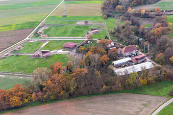 Vue aérienne de Moulin de Wanzheim à Rheinzabern dans le département Rhénanie-Palatinat, Allemagne