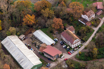Photographie aérienne de Moulin de Wanzheim à Rheinzabern dans le département Rhénanie-Palatinat, Allemagne