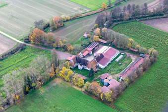Vue aérienne de Leistenmühle sur l'Erlenbach à Kandel dans le département Rhénanie-Palatinat, Allemagne