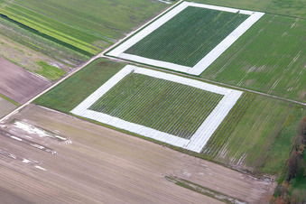 Vue aérienne de Champs de salade avec du papier d'aluminium à le quartier Minderslachen in Kandel dans le département Rhénanie-Palatinat, Allemagne