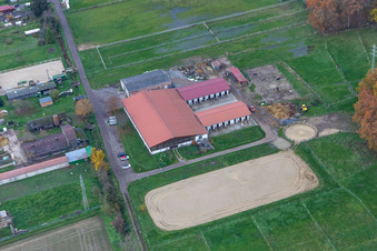 Vue aérienne de Ferme équestre à le quartier Minderslachen in Kandel dans le département Rhénanie-Palatinat, Allemagne