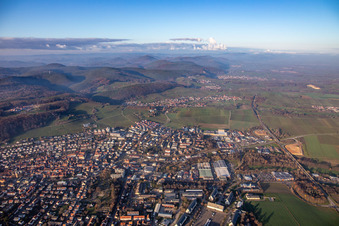 Vue aérienne de Steinfelder Straße à Bad Bergzabern dans le département Rhénanie-Palatinat, Allemagne