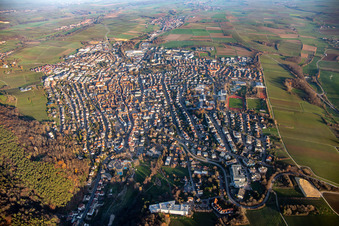 Vue aérienne de De l'ouest à Bad Bergzabern dans le département Rhénanie-Palatinat, Allemagne
