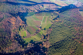 Haardtrand-Wolfsteig à Pleisweiler-Oberhofen dans le département Rhénanie-Palatinat, Allemagne depuis l'avion
