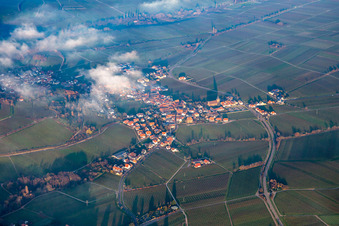 Vue aérienne de Du sud à Burrweiler dans le département Rhénanie-Palatinat, Allemagne