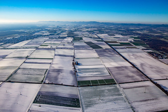 Vue aérienne de Éoliennes en hiver avec de la neige à Minfeld dans le département Rhénanie-Palatinat, Allemagne