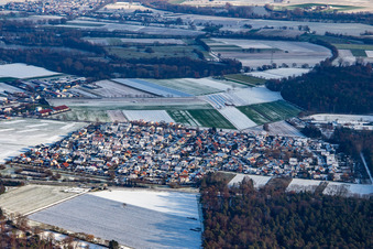 Vue aérienne de Aux carrières d'argile en hiver avec de la neige à Rheinzabern dans le département Rhénanie-Palatinat, Allemagne