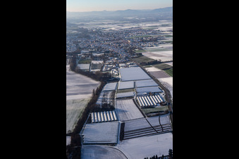 Vue aérienne de Serres et tunnels à l'est en hiver avec de la neige à Herxheim bei Landau dans le département Rhénanie-Palatinat, Allemagne