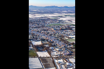 Vue aérienne de Rue principale inférieure en hiver avec de la neige à Herxheim bei Landau dans le département Rhénanie-Palatinat, Allemagne