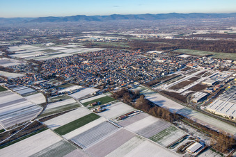Vue aérienne de Du sud-est en hiver quand il y a de la neige à Offenbach an der Queich dans le département Rhénanie-Palatinat, Allemagne