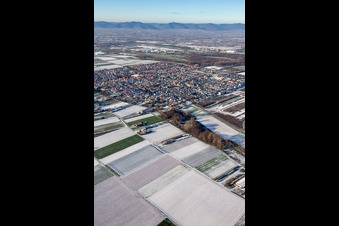Vue aérienne de Du sud-est en hiver quand il y a de la neige à Offenbach an der Queich dans le département Rhénanie-Palatinat, Allemagne