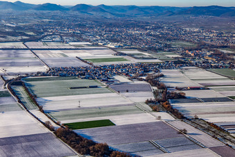 Vue aérienne de De l'est en hiver quand il y a de la neige à le quartier Mörlheim in Landau in der Pfalz dans le département Rhénanie-Palatinat, Allemagne
