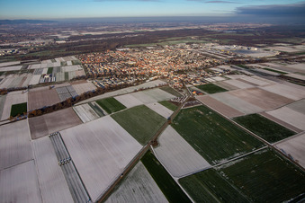 Vue aérienne de Du sud-ouest en hiver quand il y a de la neige à Offenbach an der Queich dans le département Rhénanie-Palatinat, Allemagne