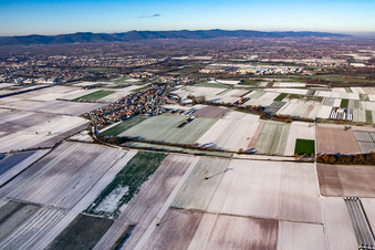 Vue aérienne de En hiver quand il y a de la neige à le quartier Mörlheim in Landau in der Pfalz dans le département Rhénanie-Palatinat, Allemagne