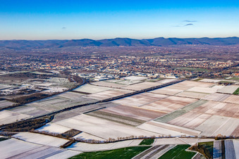 Vue aérienne de En hiver quand il y a de la neige à le quartier Queichheim in Landau in der Pfalz dans le département Rhénanie-Palatinat, Allemagne