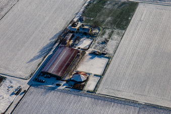 Vue aérienne de Centre équestre Fohlenhof en hiver avec de la neige à Steinweiler dans le département Rhénanie-Palatinat, Allemagne