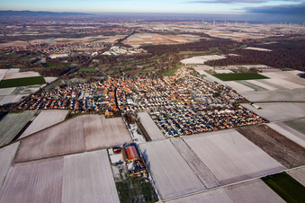 Vue aérienne de Du sud en hiver quand il y a de la neige à Steinweiler dans le département Rhénanie-Palatinat, Allemagne