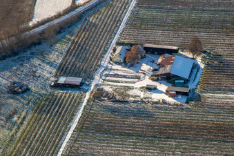 Vue aérienne de Ferme d'asperges et de fruits de Gensheim en hiver sous la neige à Steinweiler dans le département Rhénanie-Palatinat, Allemagne