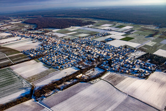 Vue aérienne de En hiver quand il y a de la neige à Freckenfeld dans le département Rhénanie-Palatinat, Allemagne