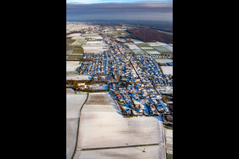 Vue aérienne de Vue de la ville depuis l'ouest en hiver avec de la neige à Freckenfeld dans le département Rhénanie-Palatinat, Allemagne