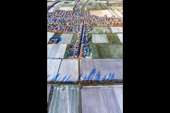 Vue aérienne de Wattstraße vue du sud en hiver avec de la neige à Freckenfeld dans le département Rhénanie-Palatinat, Allemagne