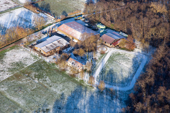 Vue aérienne de Le haras islandais de Bienwald en hiver sous la neige à Freckenfeld dans le département Rhénanie-Palatinat, Allemagne