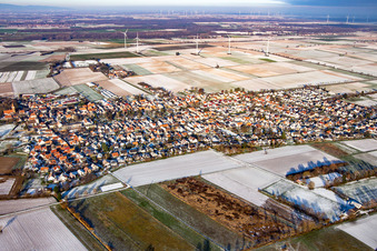 Vue aérienne de En hiver quand il y a de la neige à Minfeld dans le département Rhénanie-Palatinat, Allemagne