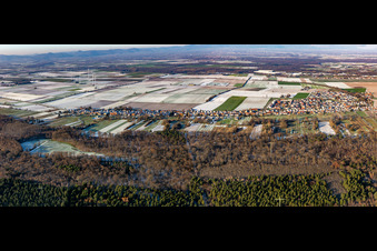 Vue aérienne de Panorama Saarstraße en hiver avec de la neige à Kandel dans le département Rhénanie-Palatinat, Allemagne