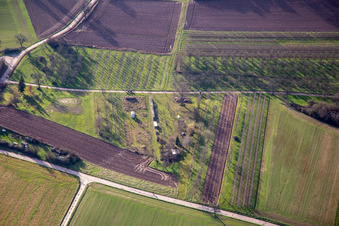 Vue aérienne de Plantations fruitières dans le Rußbachtal à Schweighofen dans le département Rhénanie-Palatinat, Allemagne