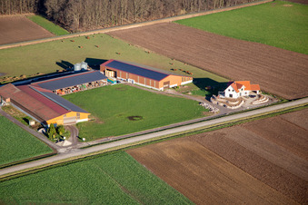 Vue aérienne de Sur la D244 à Schleithal dans le département Bas Rhin, France