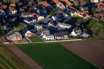 Vue aérienne de Rue de la Chapelle à Niederlauterbach dans le département Bas Rhin, France