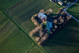 Vue aérienne de Bioland viticulture sous le toit en herbe à le quartier Wollmesheim in Landau in der Pfalz dans le département Rhénanie-Palatinat, Allemagne