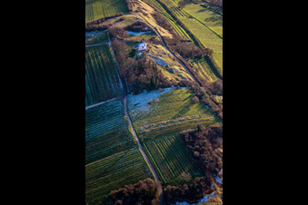 Vue aérienne de Chapelle "Kleine Kalmit" dans la réserve naturelle de Kleine Kalmit à Ilbesheim bei Landau dans le département Rhénanie-Palatinat, Allemagne