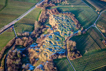 Vue aérienne de Réserve naturelle de Kleine Kalmit à le quartier Arzheim in Landau in der Pfalz dans le département Rhénanie-Palatinat, Allemagne