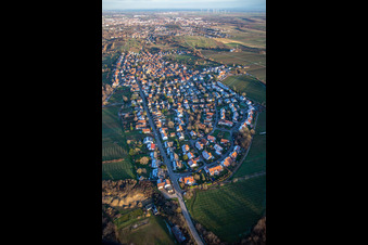 Vue aérienne de De l'ouest à le quartier Arzheim in Landau in der Pfalz dans le département Rhénanie-Palatinat, Allemagne