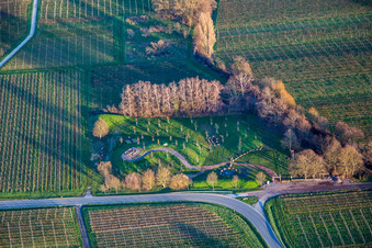 Vue aérienne de ARBORETUM du climat à Flemlingen dans le département Rhénanie-Palatinat, Allemagne