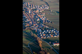 Vue aérienne de Ludwigstraße à Edesheim dans le département Rhénanie-Palatinat, Allemagne