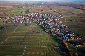 Vue aérienne de De l'ouest à Edesheim dans le département Rhénanie-Palatinat, Allemagne